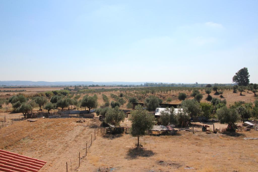 Olive View Villa Вила Нова да Баркиня Екстериор снимка
