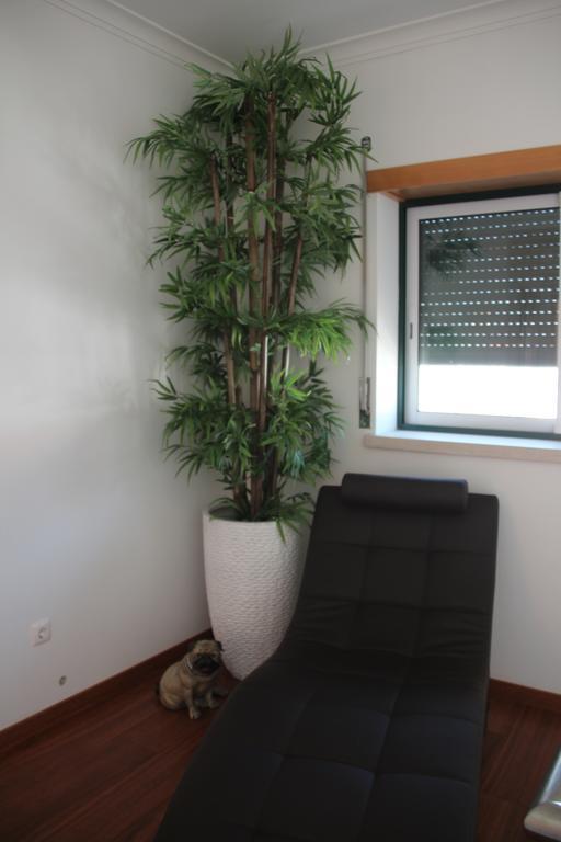 Olive View Villa Вила Нова да Баркиня Екстериор снимка